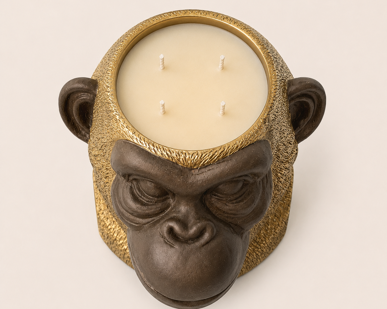Urko the Monkey