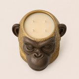 Urko the Monkey
