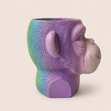 Monkey Rainbow