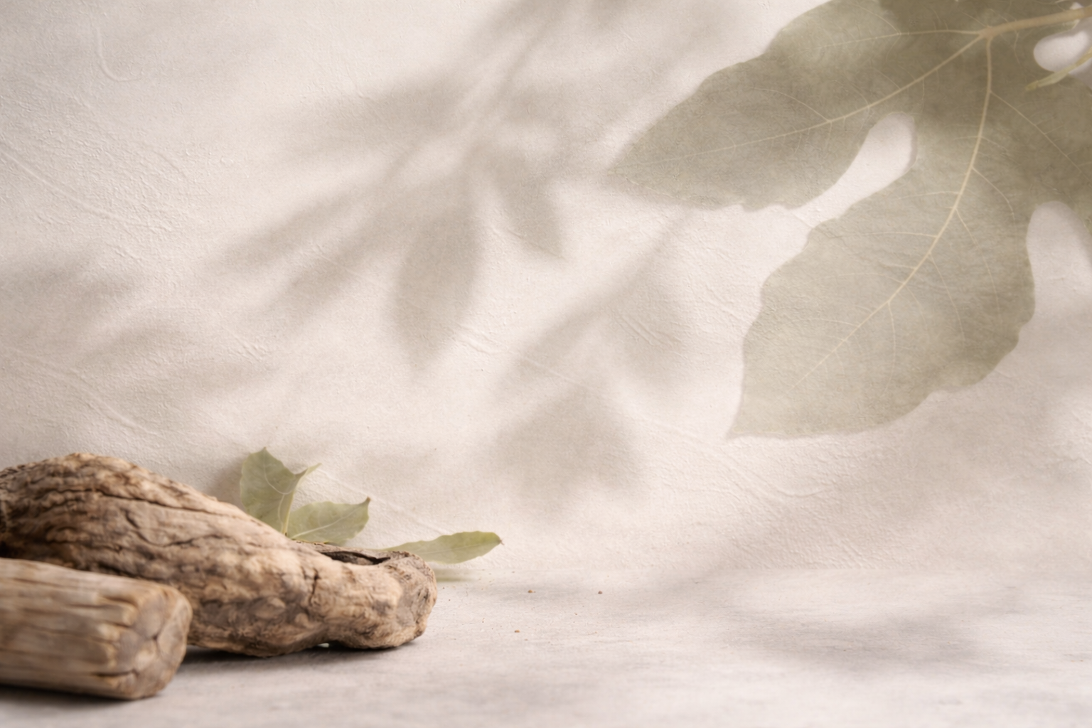 Imagen de diapositiva